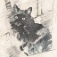 Image Description